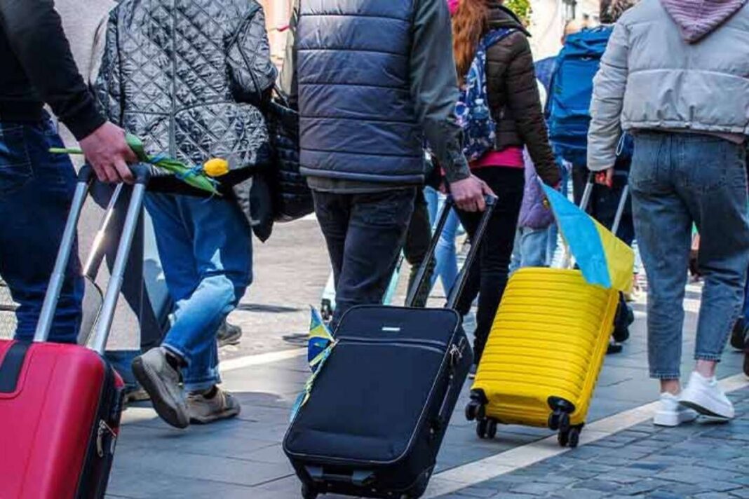 qué es la migración interna