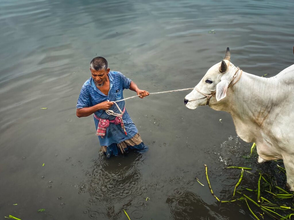 presupuesto anual de carbono