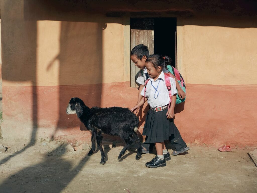 Fundación Distribuidores Nissan