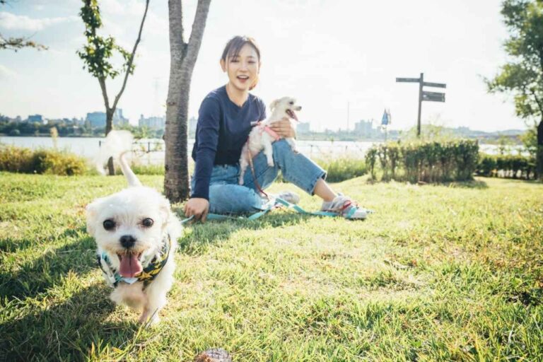 ¿Sabías que en México solo 1 de cada 4 perros está esterilizado? 