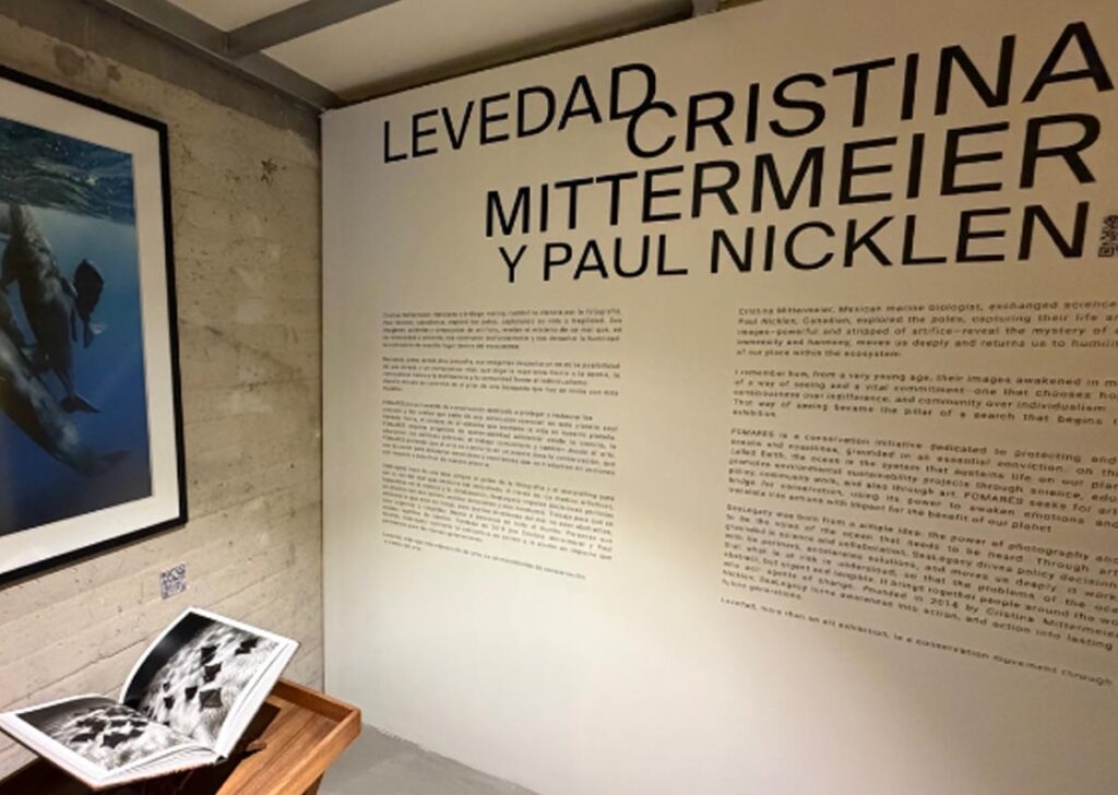 Cristina Mittermeier