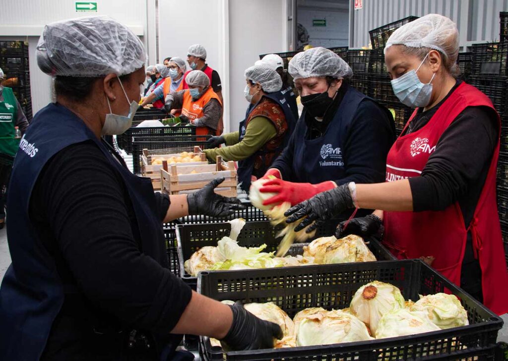 donaciones de Corporativo Kosmos