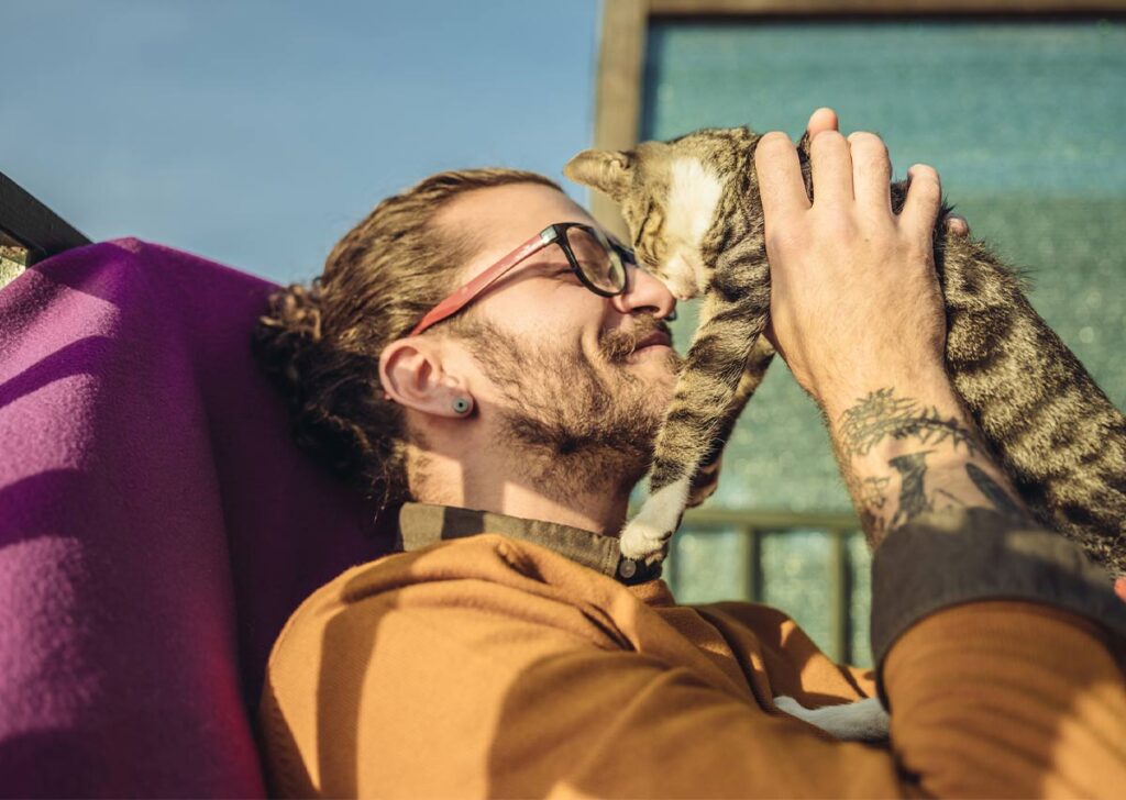 perros y gatos en situación de calle