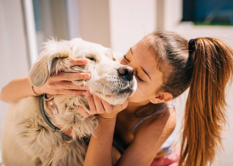 Mars lidera acciones y refuerza su compromiso ante los perros y gatos en situación de calle