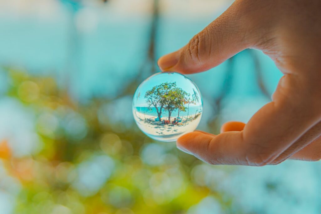 cero emisiones netas