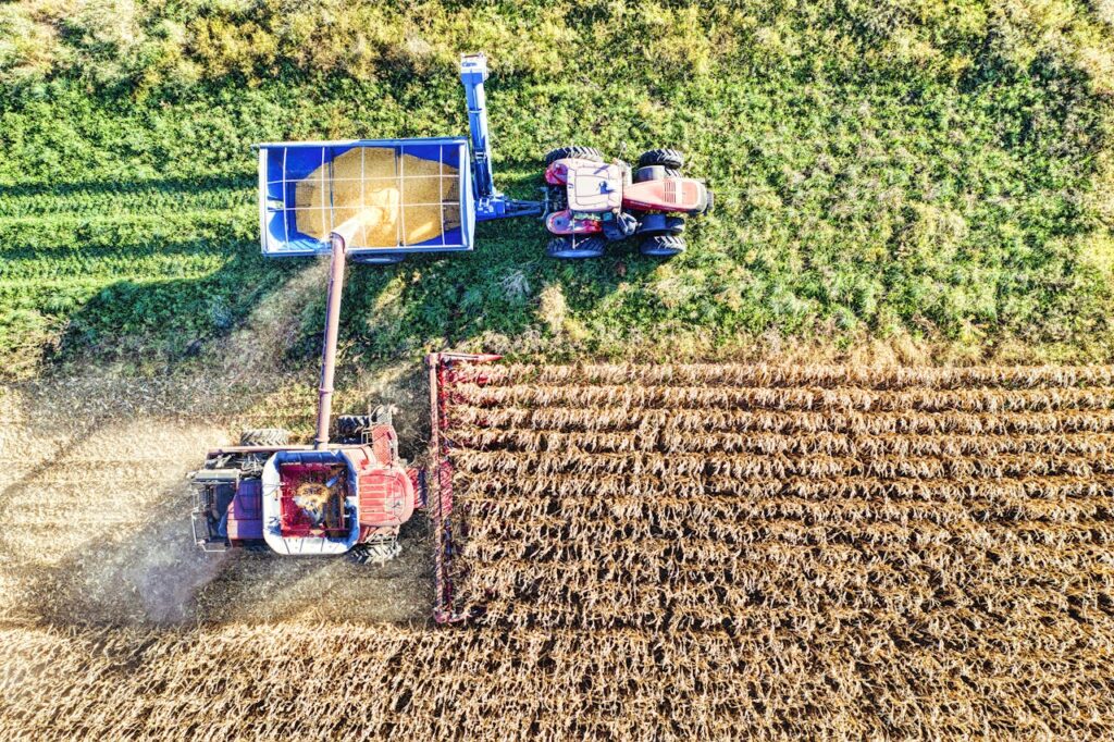 impacto en la naturaleza