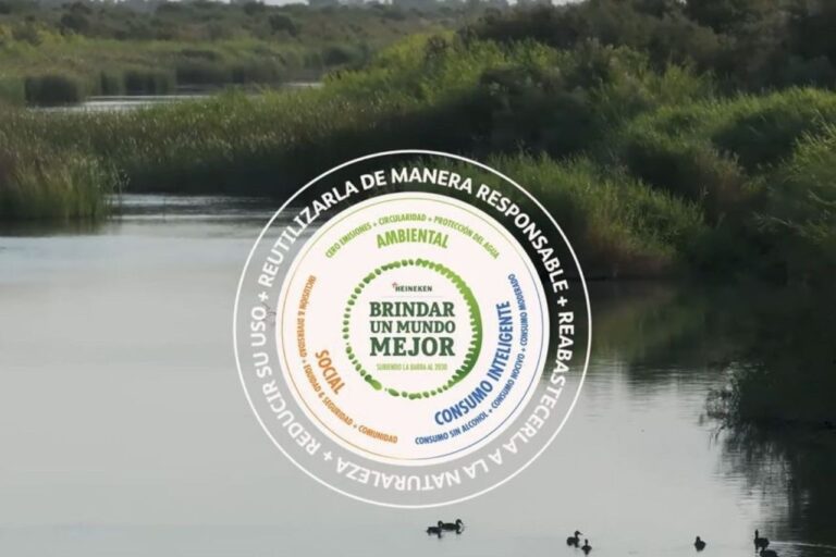 Día Mundial del Agua: Acciones a implementar por las empresas para un futuro sustentable