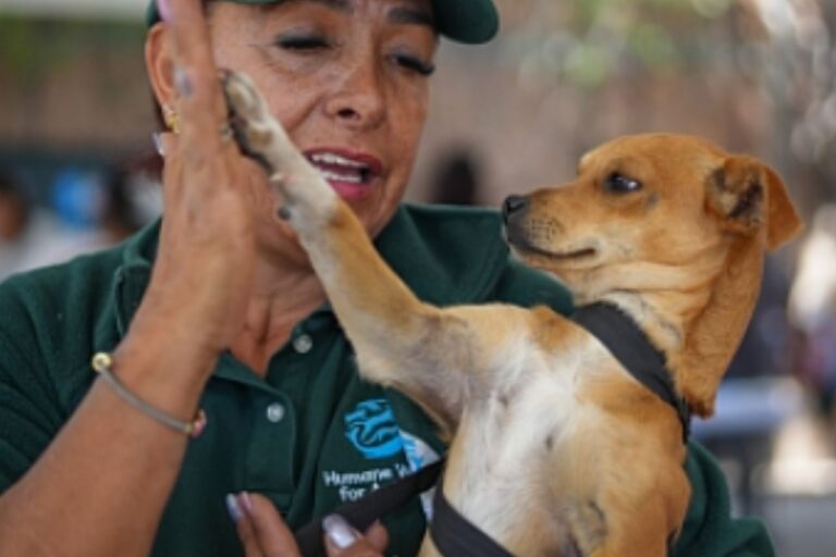 Mars beneficiará a 48,400 animales con la creación del Fondo de Impacto Mars