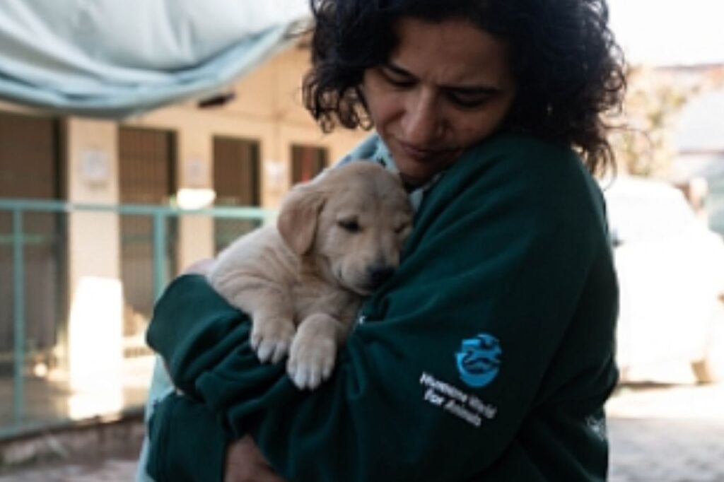 Fondo de Impacto Mars