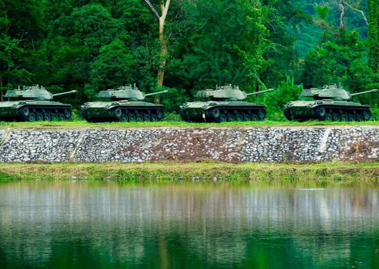 ¿Bosques como barrera? La propuesta de reforestar fronteras para frenar invasiones