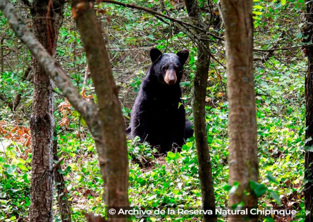 Grupo Bimbo y SEMARNAT
