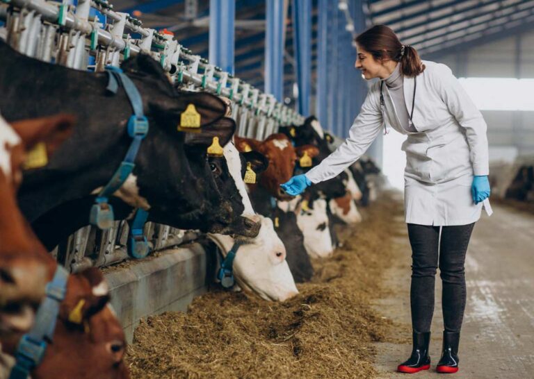 MSD Salud Animal gana el Premio S&P Global 2025 en las categorías de Mejor Producto para Animales de Compañía y Mejor Producto para Animales de Producción por NUMELVI e INNOVAX® ND-ILT-IBD