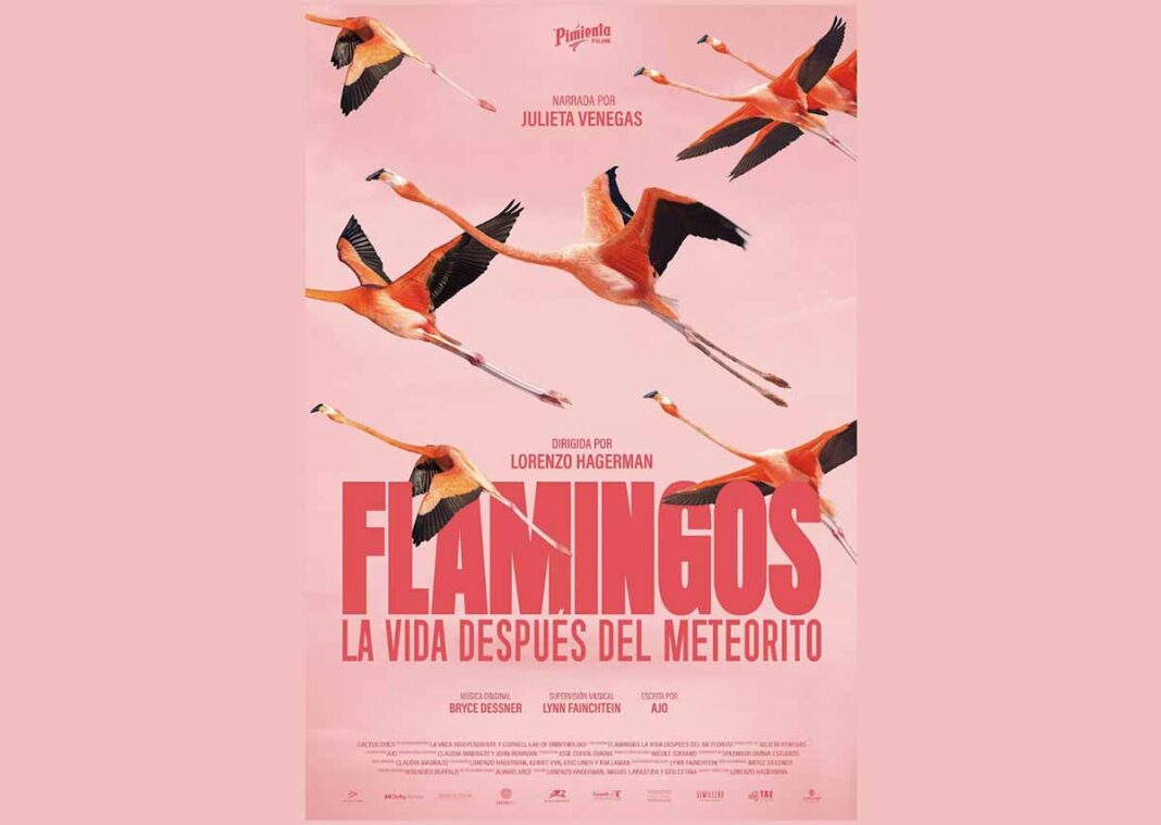 documental Flamingos