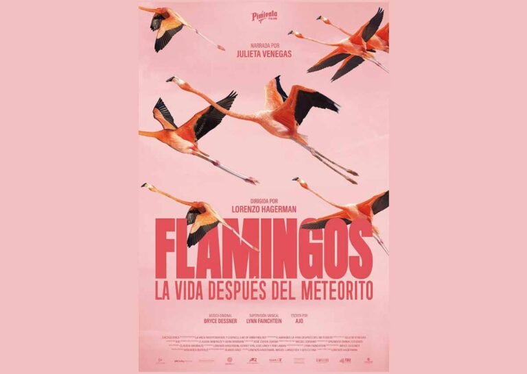 Se anuncia el estreno del documental Flamingos: la vida después del meteorito