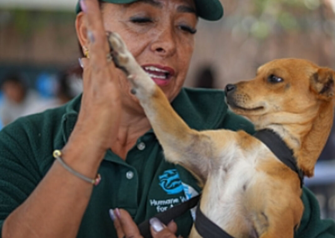 Fondo de Impacto Mars