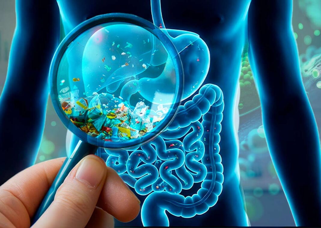 microplásticos en la bilis