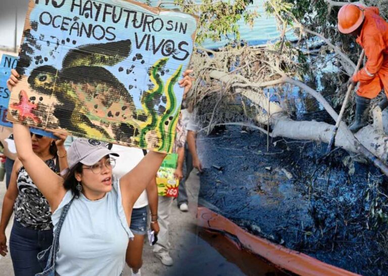 Derrame de petróleo en México: la crisis ambiental que está despertando indignación nacional
