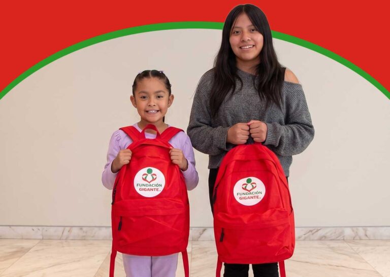 El rol de la iniciativa privada en la educación; caso Fundación Gigante