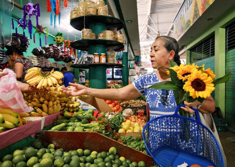 Airbnb dona casi $3 millones de pesos a organizaciones mexicanas con impacto social y ambiental