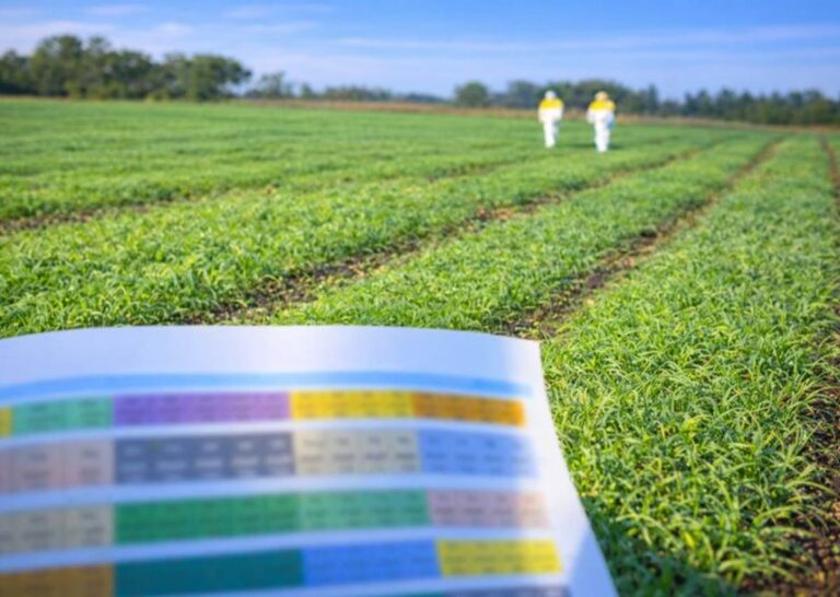 La alianza entre HEINEKEN México y Bioram transforma el emprendimiento mexicano en impacto ambiental real