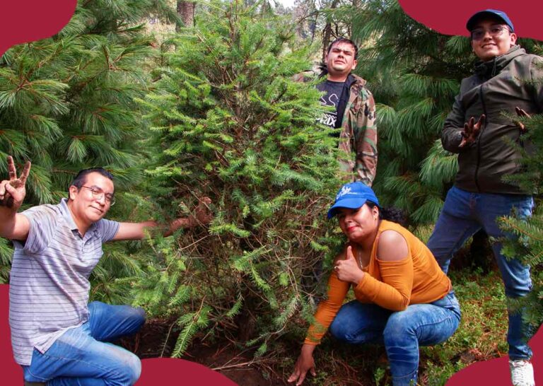 Reforestalia es reconocida y potencia su alianza con Grupo Restaurantero Gigante en reforestación y voluntariado