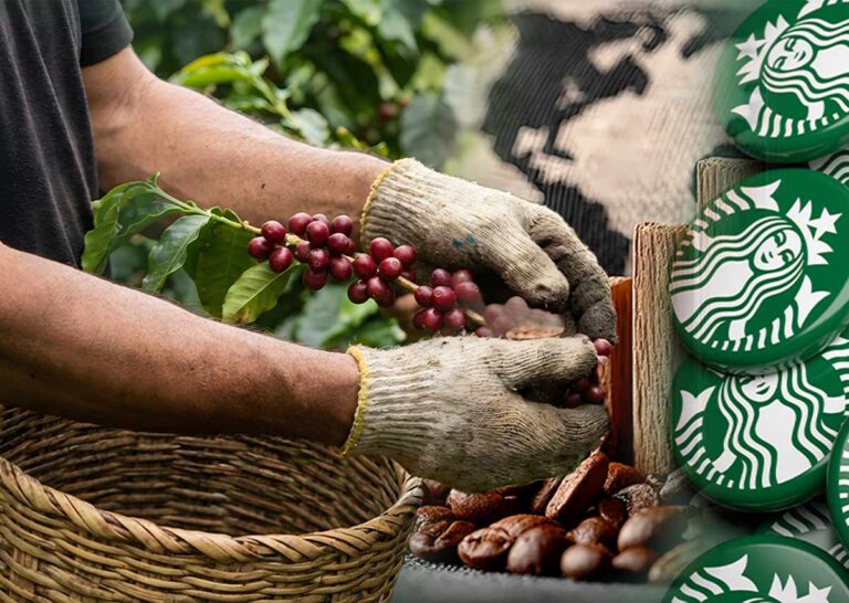 Starbucks regala 10 millones de cafetos: ¿qué hay detrás de esta acción climática?