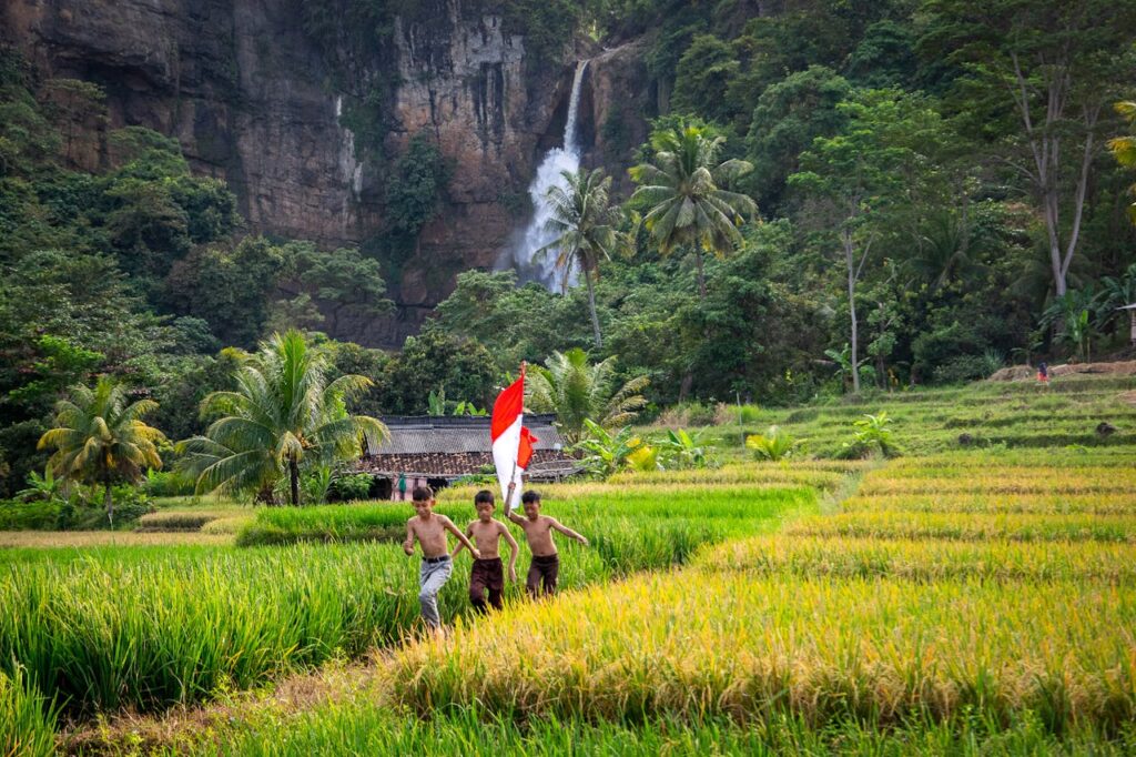 sesgo cultural en la IA