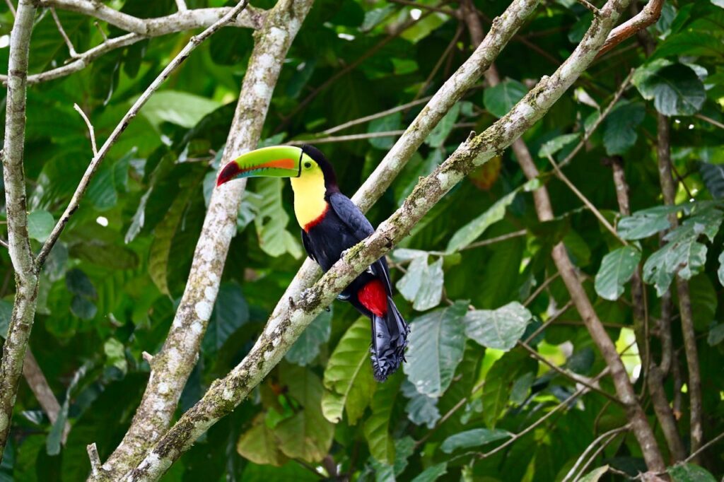 áreas naturales protegidas