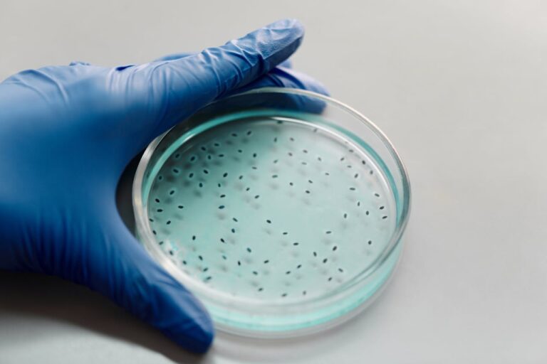 Nueva evidencia muestra que pesticidas y microplásticos podrían acelerar la resistencia de las bacterias a los antibióticos
