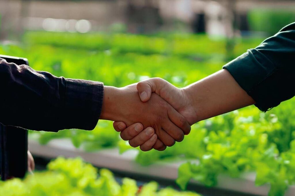 comercio justo en México