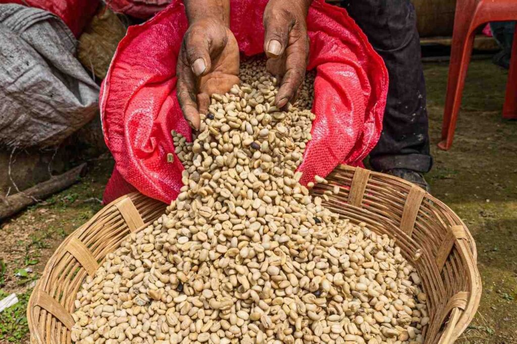 comercio justo en México