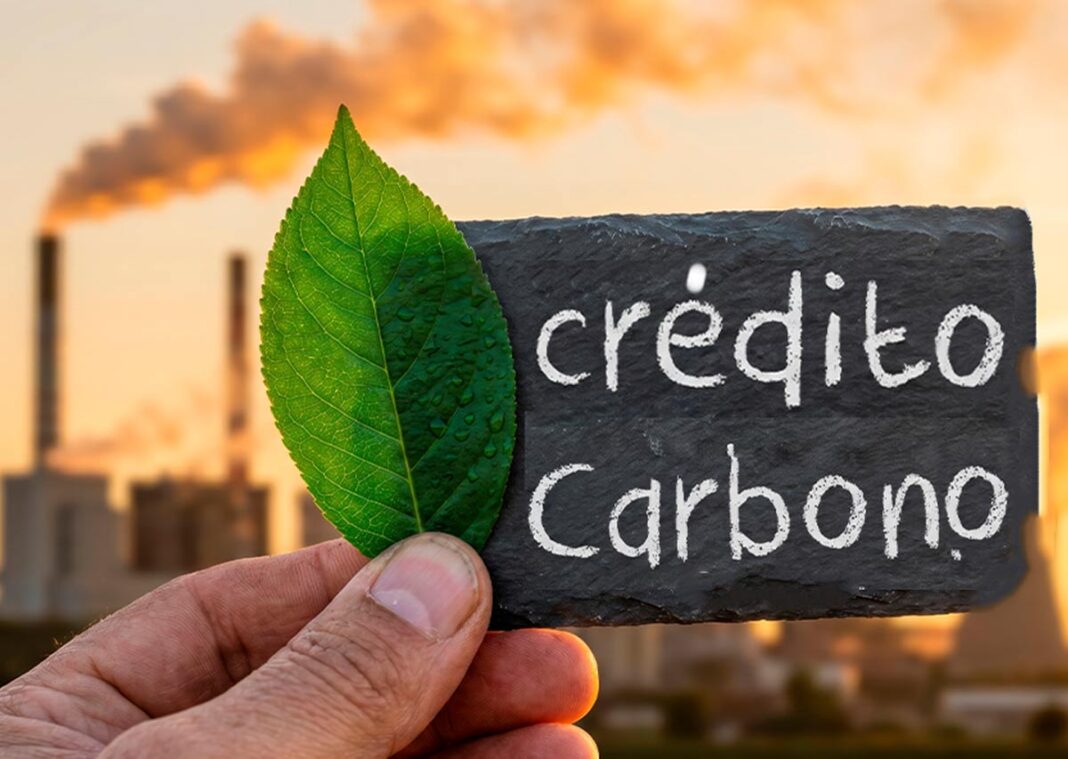 Empresas sin créditos de carbono