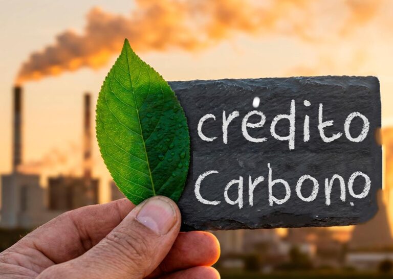 Empresas sin créditos de carbono: la omisión que debería preocuparnos