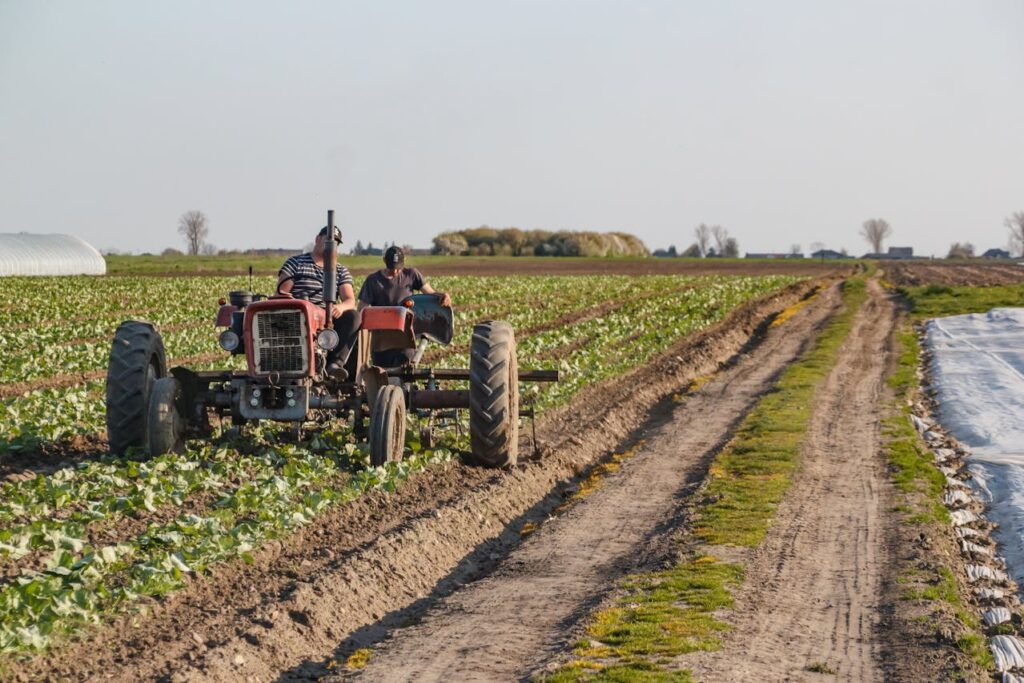 Agricultura regenerativa