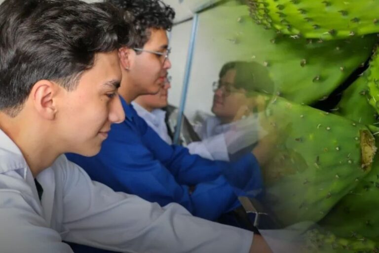 Del nopal al plástico: estudiantes mexicanos desarrollan alternativa para combatir los microplásticos