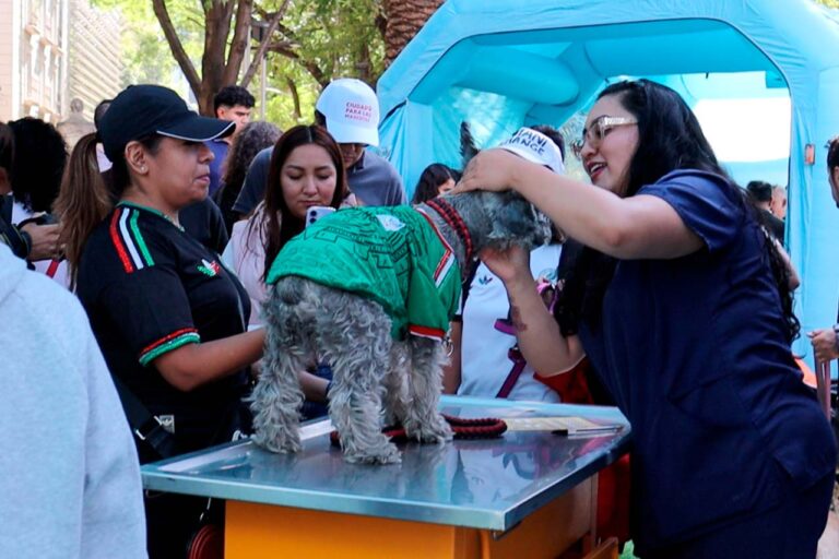 Ciudad para las Mascotas transformará Paseo de la Reforma en un espacio de experiencias pet-friendly