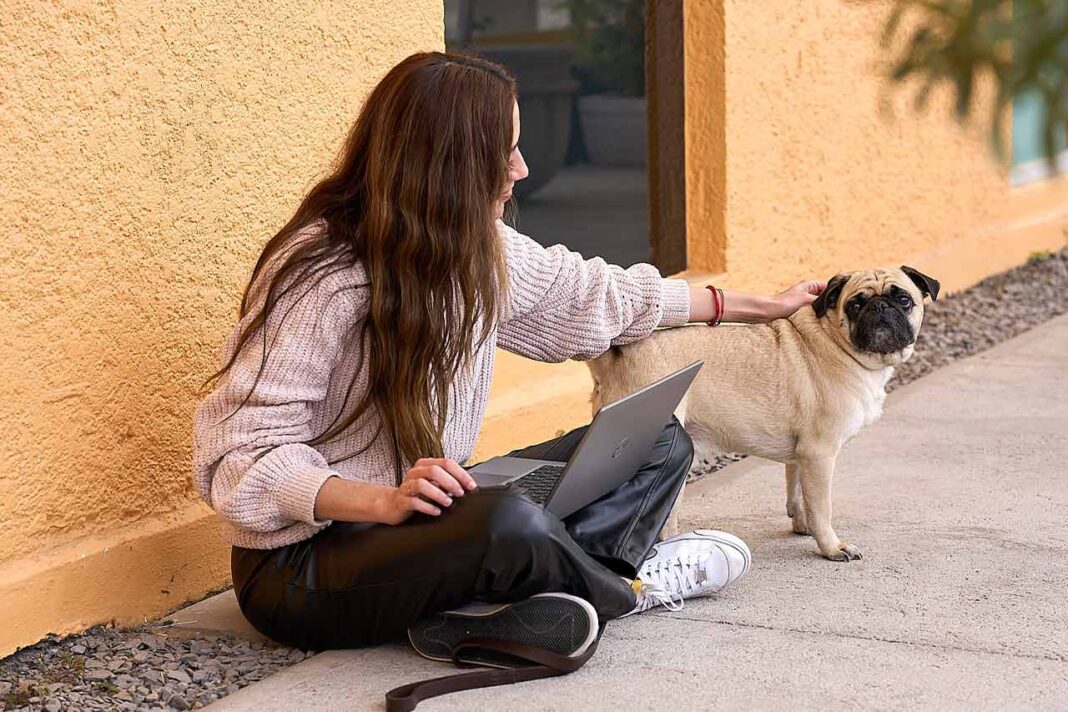 Ciudad para las Mascotas