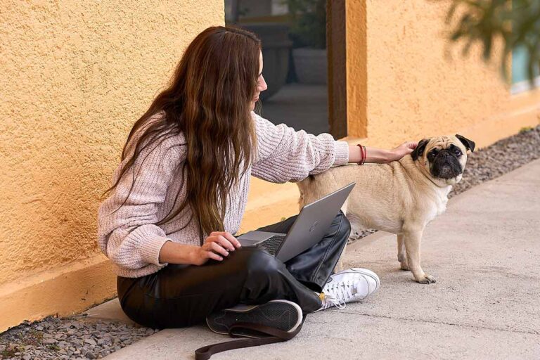 Ciudad para las Mascotas: los beneficios de tener oficinas pet friendly