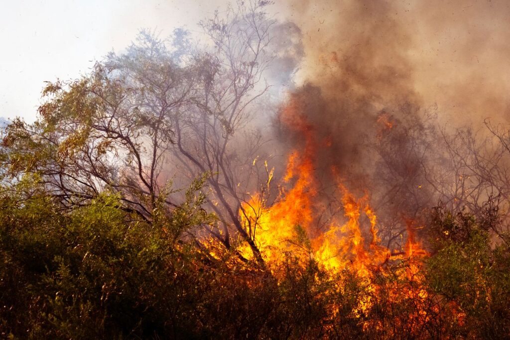 detectar incendios forestales