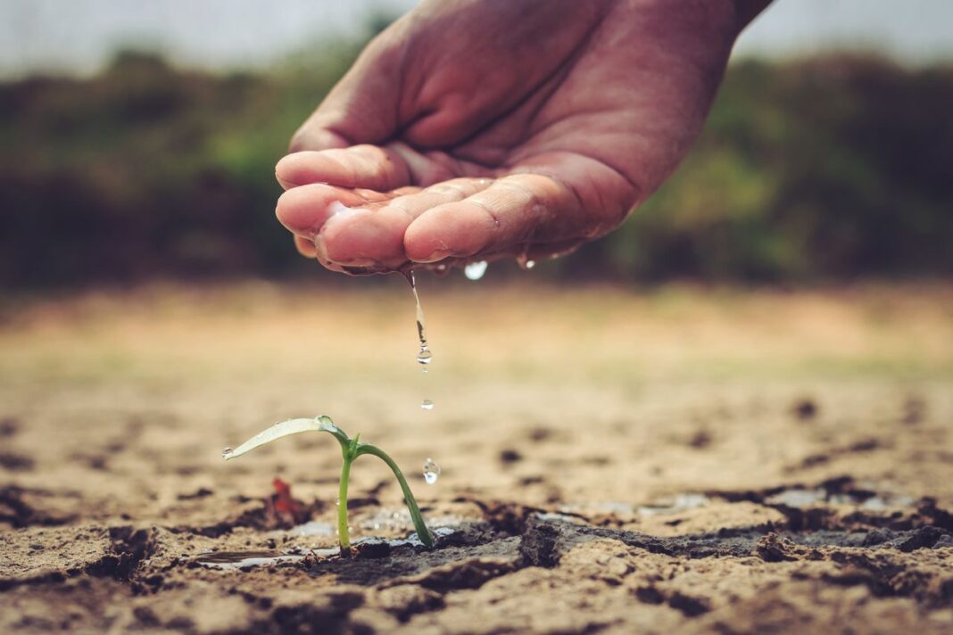 Día Mundial del Medio Ambiente