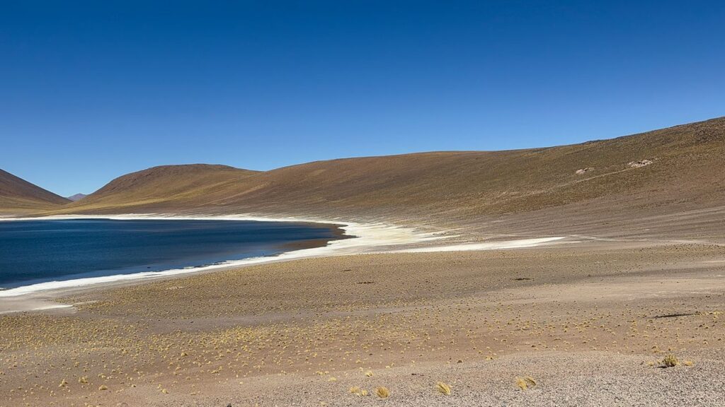 demanda de agua con la IA