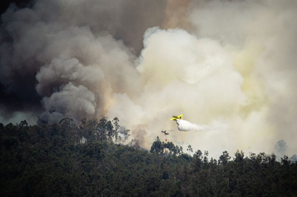 detectar incendios forestales