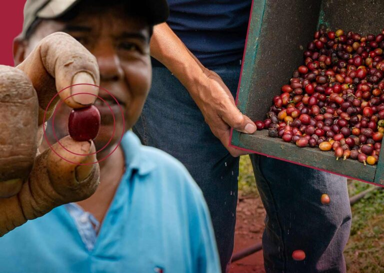 ¿Qué hace que el café que tomas en Toks sea socialmente responsable?