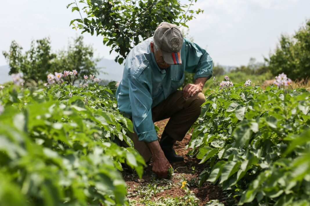 PepsiCo une a productores