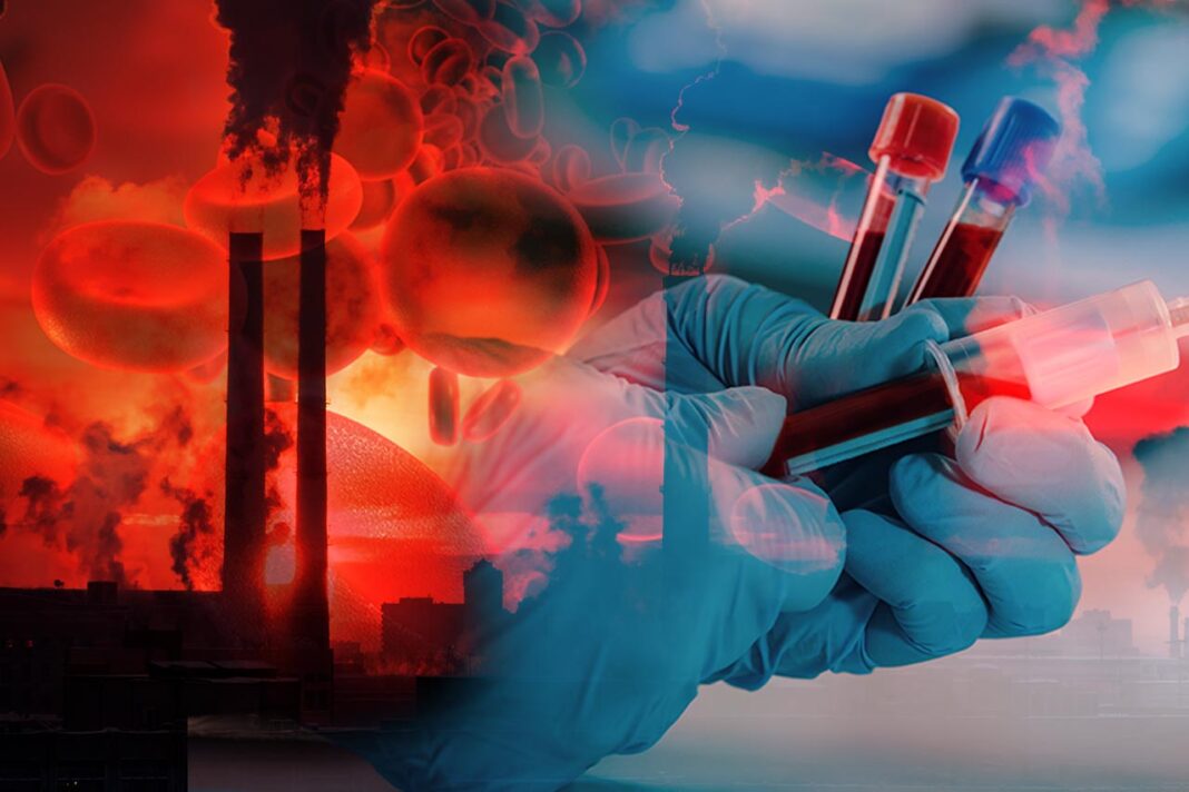 composición química de la sangre