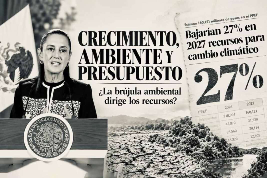 costo ambiental de crecer