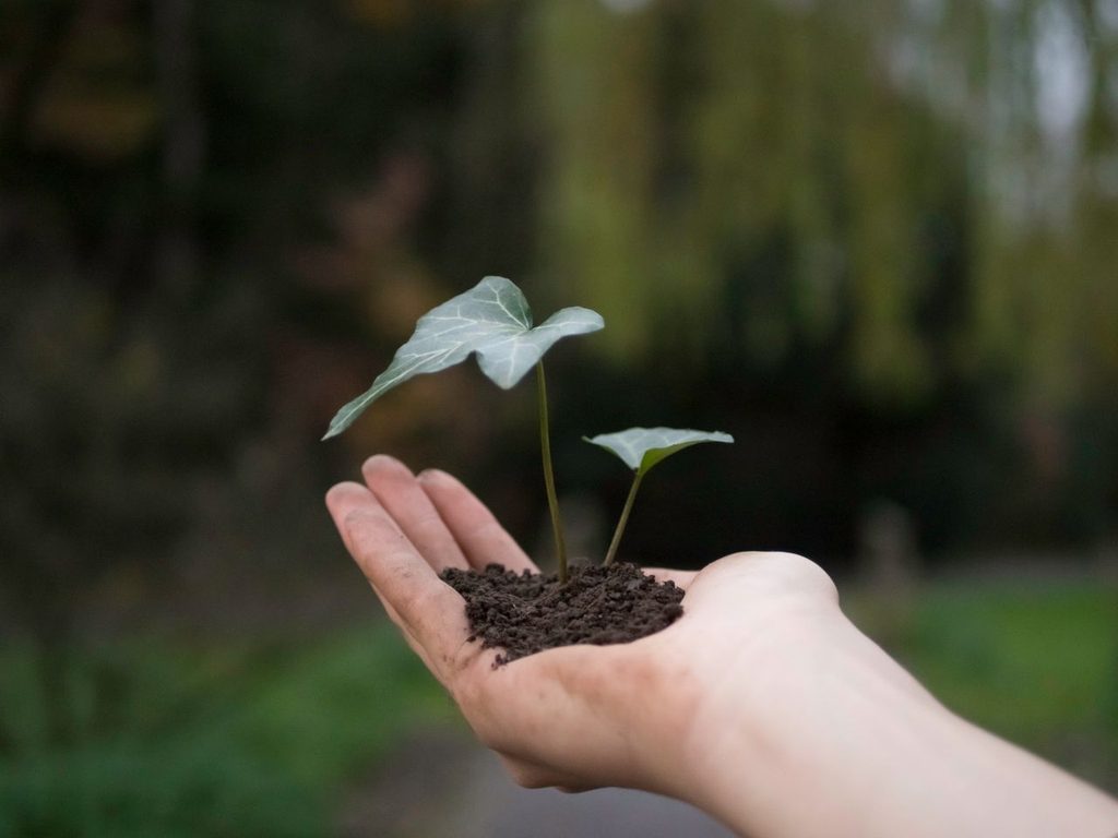 Starbucks recorta sus objetivos ecológicos