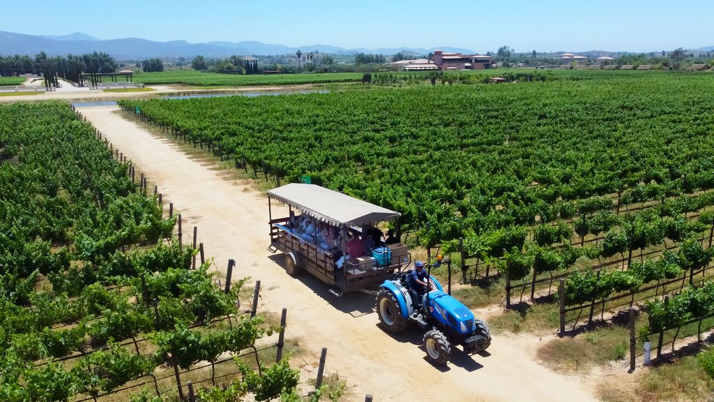 Cielo Valle de Guadalupe