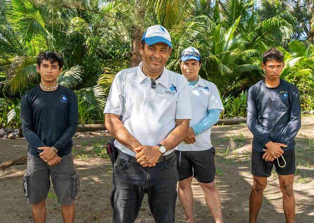 conservación de tortugas marinas