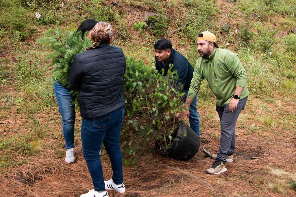 voluntariado corporativo de Grupo Restaurantero Gigante